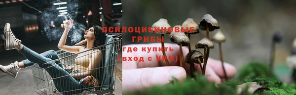 бутират Надым