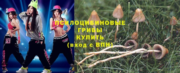 СК Нефтекумск