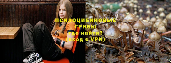СК Нефтекумск