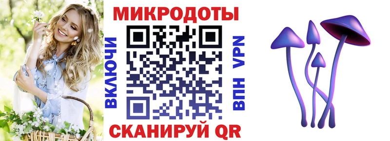 Псилоцибиновые грибы мухоморы  Куйбышев 