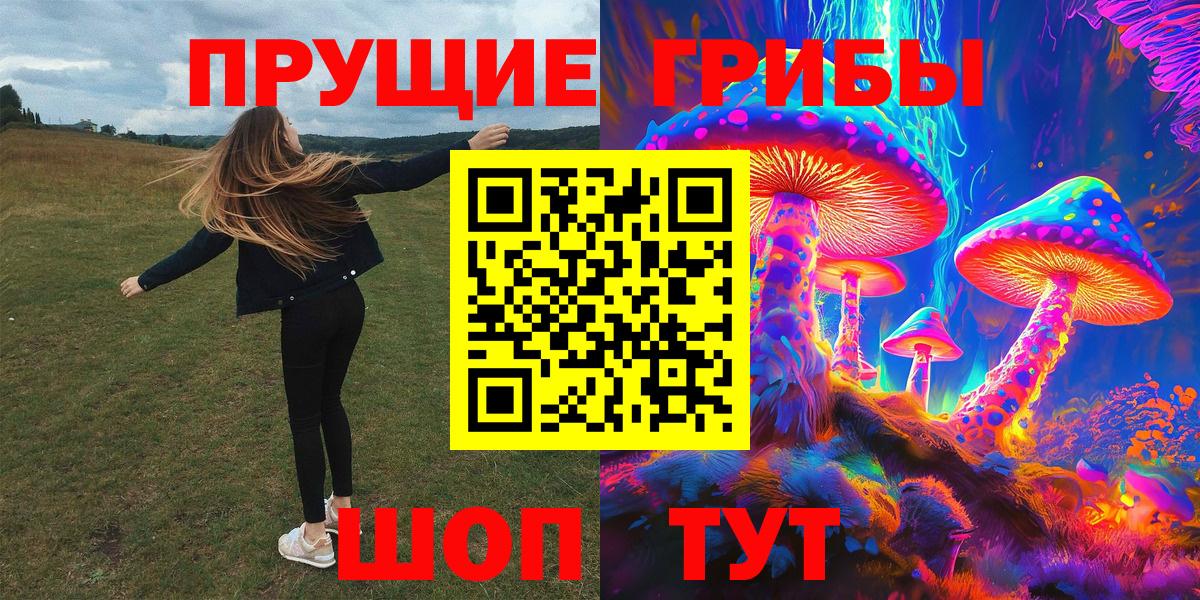Галлюциногенные грибы GOLDEN TEACHER  Вход с VPN  Куйбышев 