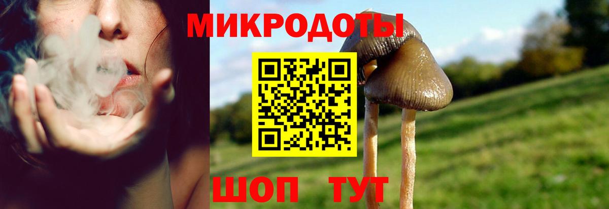 Псилоцибиновые грибы мухоморы  Галлюциногенные грибы GOLDEN TEACHER  Куйбышев 